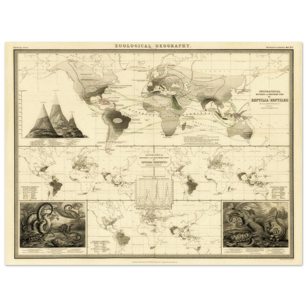Reptile distribution old world map. Print  of zoology geography 1848 by Alexander Keith Johnston