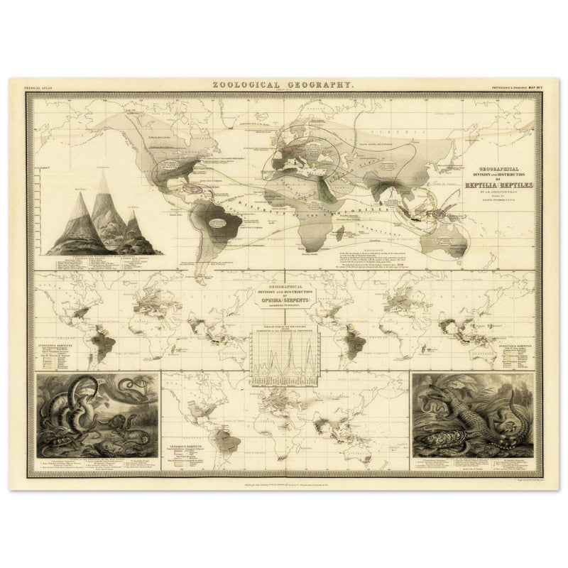 Reptile distribution old world map. Print  of zoology geography 1848 by Alexander Keith Johnston