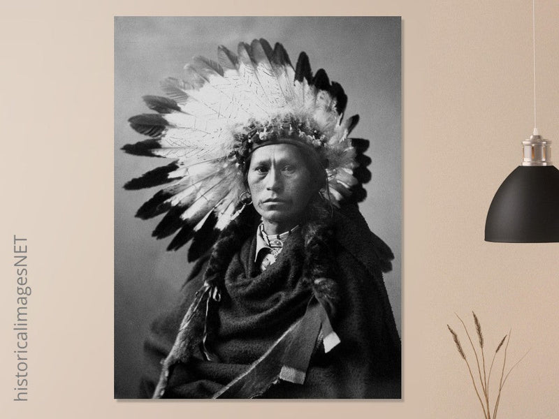 James A. Garfield, Chief of Apaches. Black and white portrair  of a native american leader