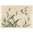 Bird flying among grasses by Matsumura Keibun, 1892.