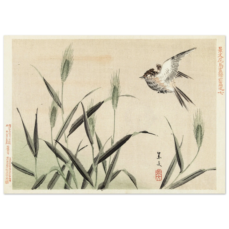 Bird flying among grasses by Matsumura Keibun, 1892.
