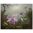 Cattleya Orchid with Two Brazilian Hummingbirds by Martin Johnson Heade