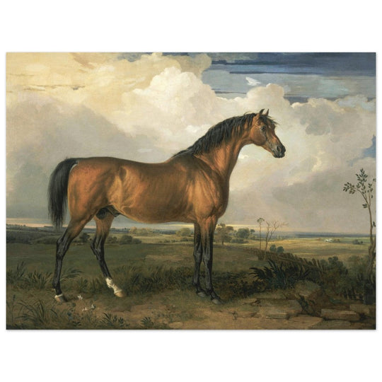 Old painting of a brown horse. Eagle, a Celebrated Stallion by James Ward 1809.