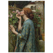 John William Waterhouse painting The Soul of the Rose
