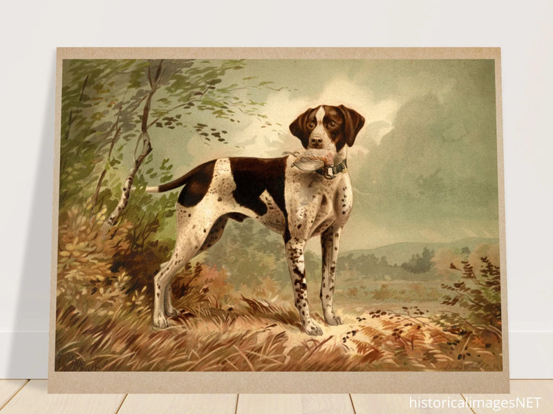 Hunting dog vintage painting poster with partridge in mouth