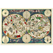 Old celestial zodiac map Planisphæri Coeleste de Wit, by Frederik de Wit 1670