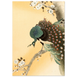 Peacock in cherry tree by Ohara Koson.