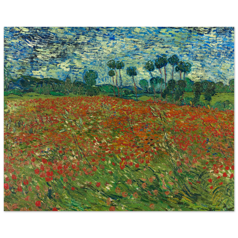 Poppy field by Vincent Van Gogh
