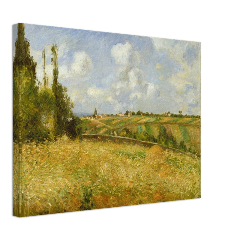 A Rye Field, Hill of Gratte Coqs Pontoise by Camille Pissarro 1877.