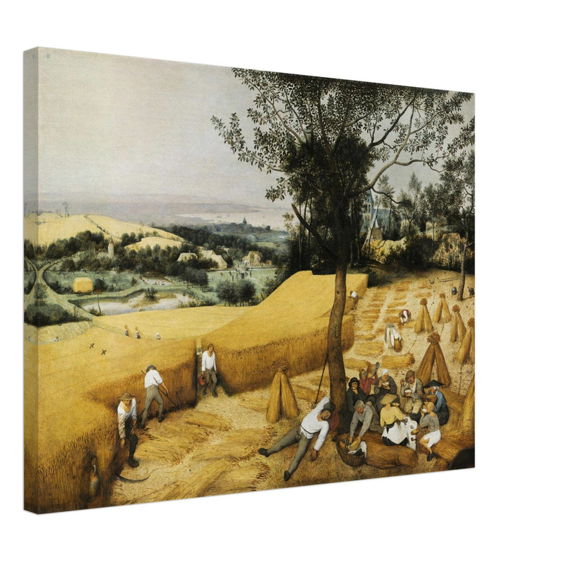 The Harvesters by Pieter Bruegel The Elder .