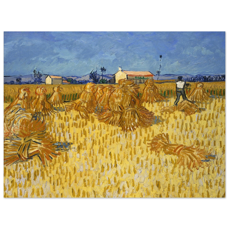 Corn Harvest in Provence by Vincent Van Gogh