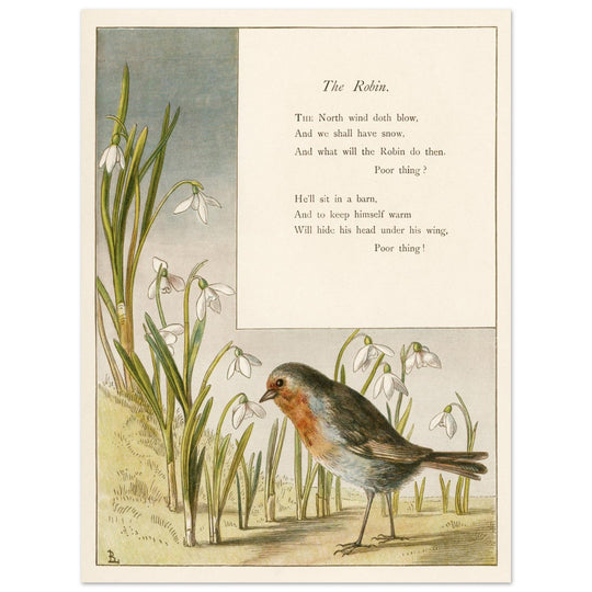 The Robin poem About Robins bird illustration by Lady Lindsay.