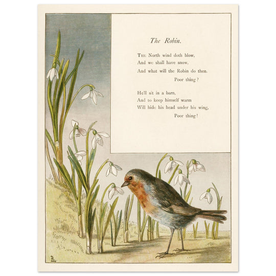 The Robin poem About Robins bird illustration by Lady Lindsay.