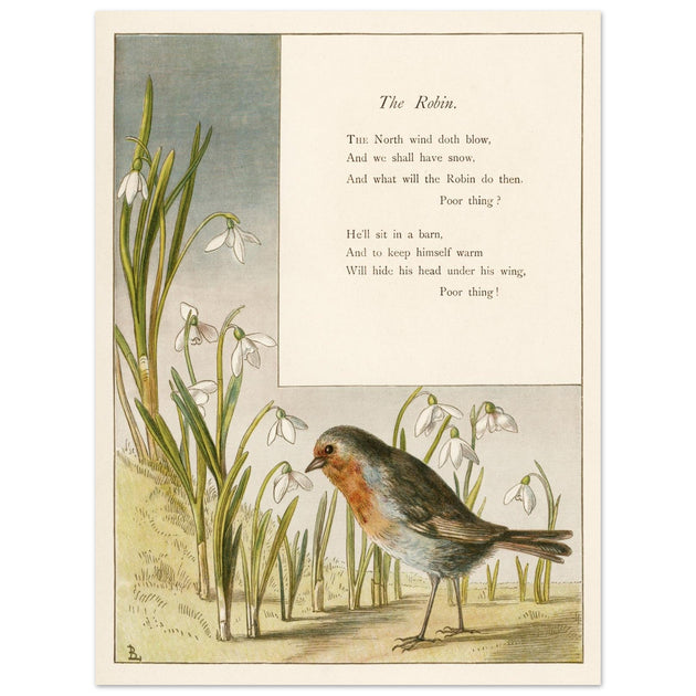 The Robin poem About Robins bird illustration by Lady Lindsay.