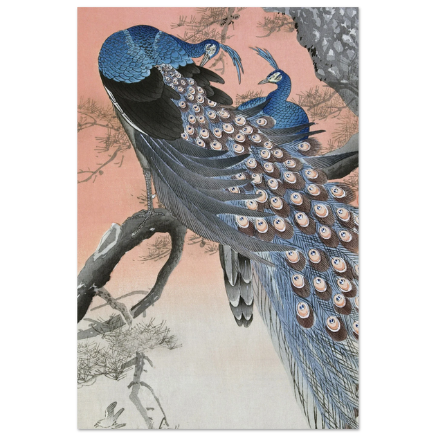Two peacocks on tree branch by Ohara Koson