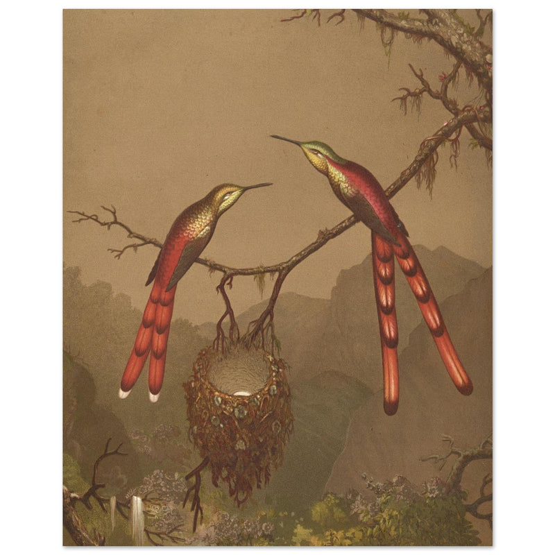 Brazilian Hummingbirds I by Martin Johnson Heade