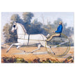 Grey Eagle horse cart antique lithograph by Nathaniel Currier.