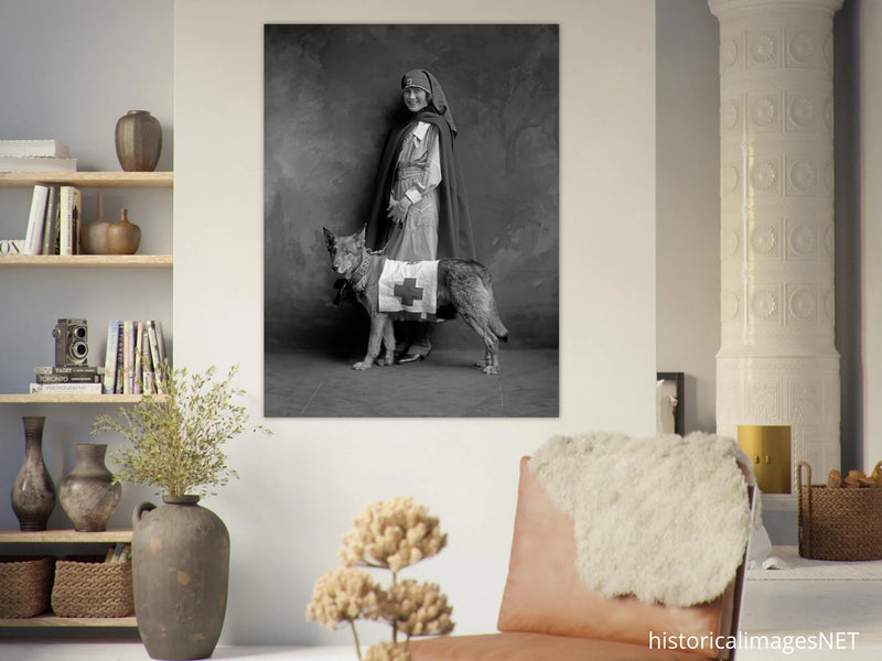 Red Cross nurse with dog poster reproduction by Harris & Ewing 1915-1918