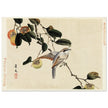 Bird and persimmon by Matsumura Keibun, 1892.