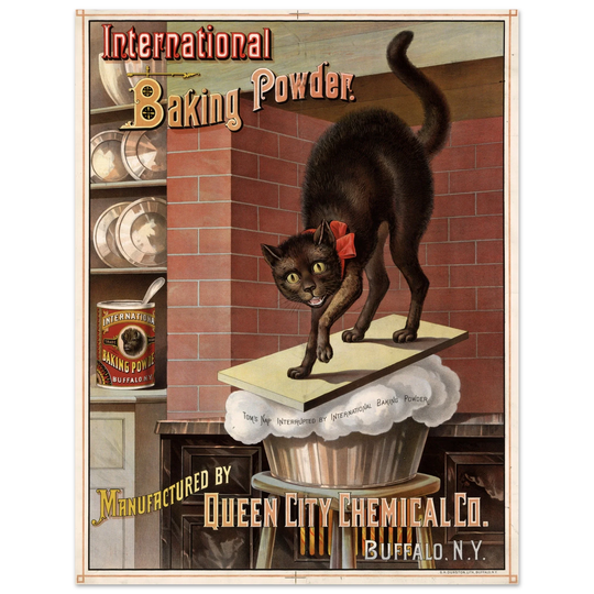 Vintage black cat Baking powder advertisement print 1885