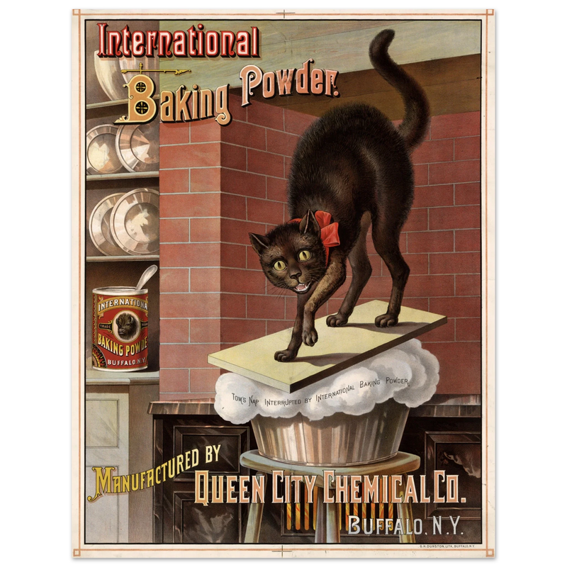 Vintage black cat Baking powder advertisement print 1885