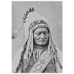 Sitting Bull native american leader.