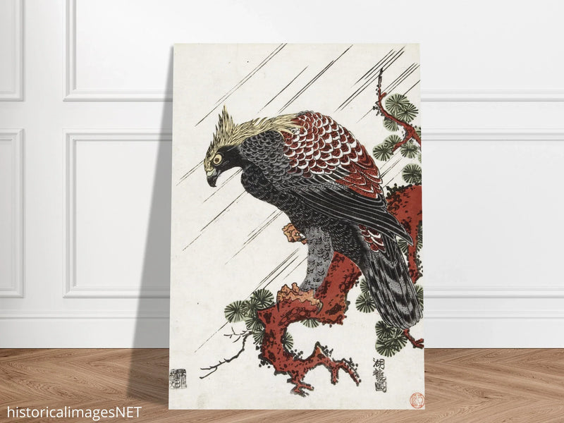 Eagle on pine branch in rain, by Isoda Koryusai