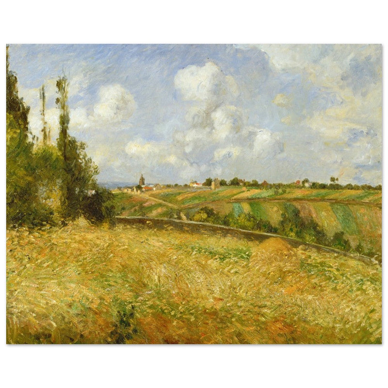 A Rye Field, Hill of Gratte Coqs Pontoise by Camille Pissarro 1877.