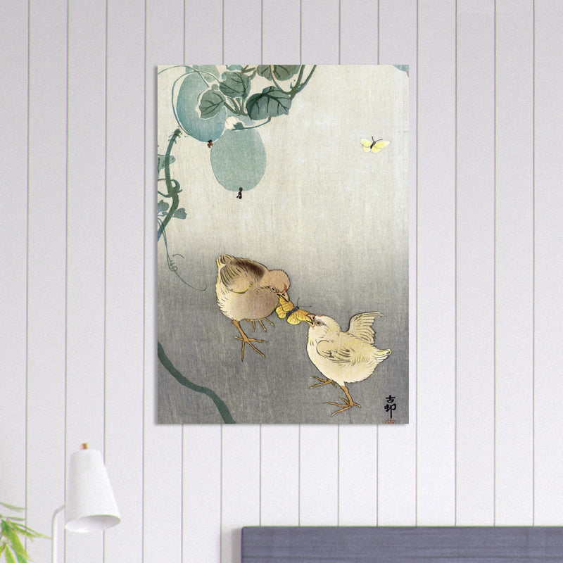 Two chicks fighting over butterfly by Ohara Koson Woodblock print