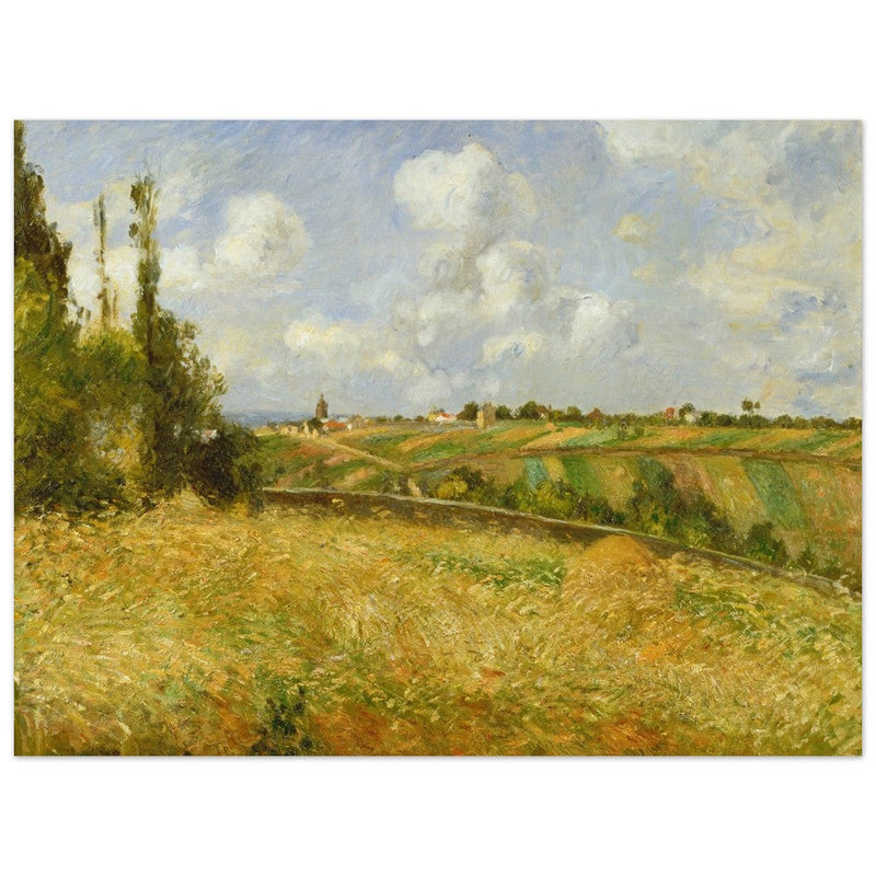 A Rye Field, Hill of Gratte Coqs Pontoise by Camille Pissarro 1877.