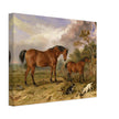 Old painting of horses by James Ward 1835. Portrait of Reformer, Blucher, Tory and Crib.