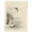 Kingfisher looking at bird near water by Kano Tsunenobu, 1893 .