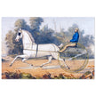 Grey Eagle horse cart antique lithograph by Nathaniel Currier.