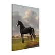 Antique painting of black horse by Anthony Oberman 1828. The fast one in a Meadow.