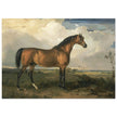 Old painting of a brown horse. Eagle, a Celebrated Stallion by James Ward 1809.