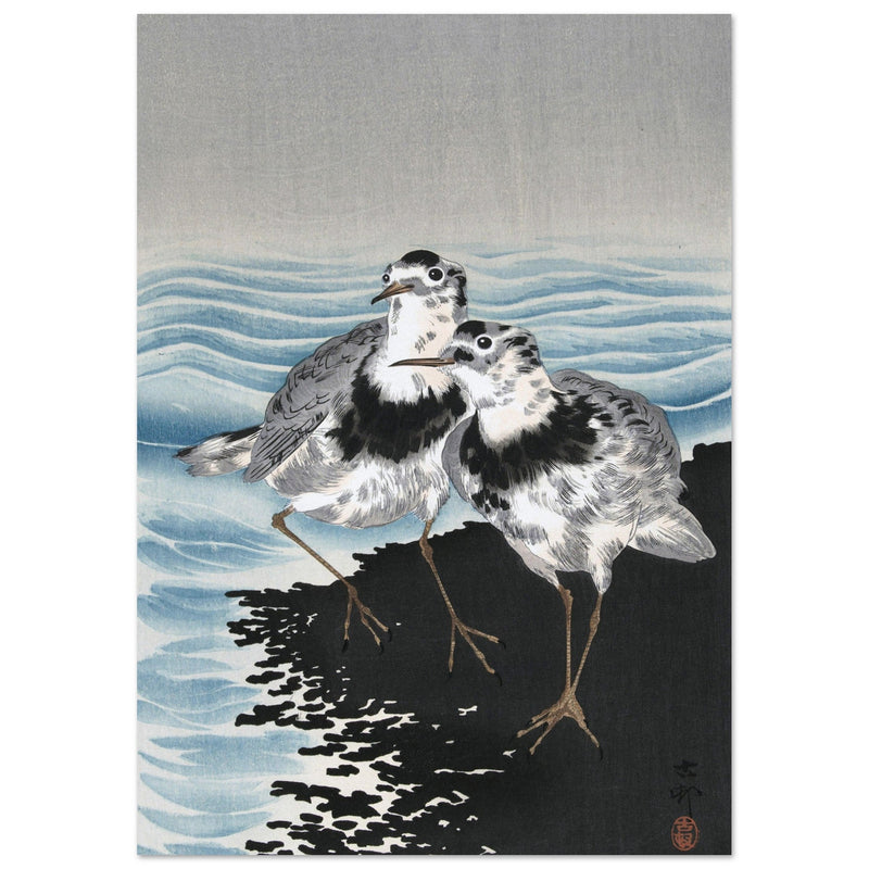 Great knot sandpipers by Ohara Koson woodblock print reproduction