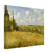 A Rye Field, Hill of Gratte Coqs Pontoise by Camille Pissarro 1877.
