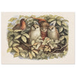 Richard Doyle illustration for Fairyland book. Elves and owls
