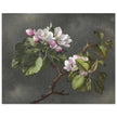 Apple Blossoms flowers by Martin Johnson Heade