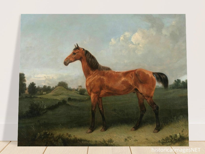 A Bay Horse in a Field by Edmund Bristow old painting 1825.