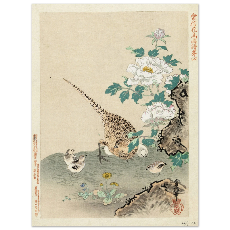 Quail with chicks by Kano Tsunenobu, 1893.