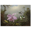 Cattleya Orchid with Two Brazilian Hummingbirds by Martin Johnson Heade