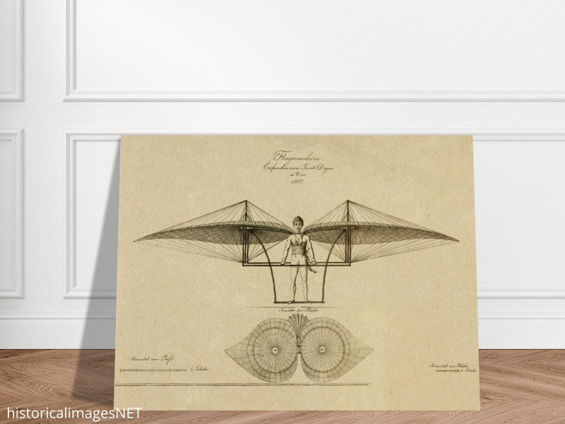 Flight machine invented by Jacob Degen in  1807 also called Degen ornithopter.