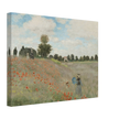 Poppy Field by Claude Monet