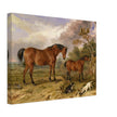 Old painting of horses by James Ward 1835. Portrait of Reformer, Blucher, Tory and Crib.