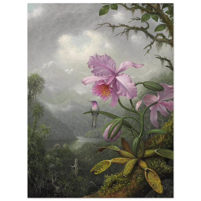 Hummingbird Perched on the Orchid Plant  by Martin Johnson Heade