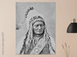 Sitting Bull native american leader.