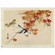 Bird flying at autumn branches by Matsumura Keibun, 1892 .