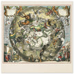 Southern celestial hemisphere with star constellations by Andreas Cellarius.