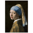 Johannes Vermeer Girl with a Pearl Earring